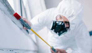 Best Pest Prevention Services  in Rosepine, LA